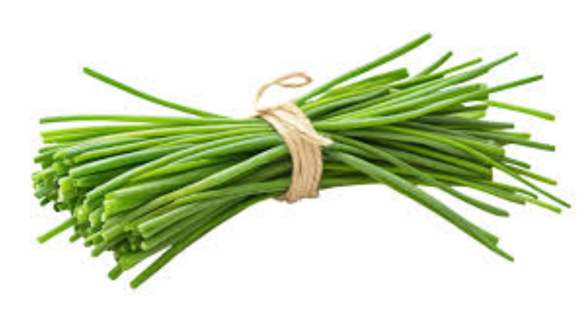 FRESH CHIVE